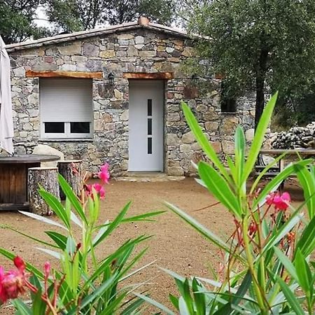 מלון Moltifao Domaine Rondini מראה חיצוני תמונה