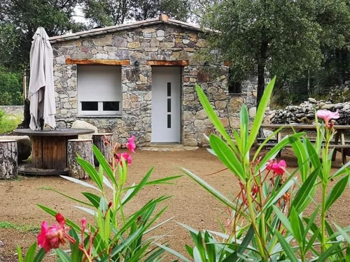 מלון Moltifao Domaine Rondini מראה חיצוני תמונה