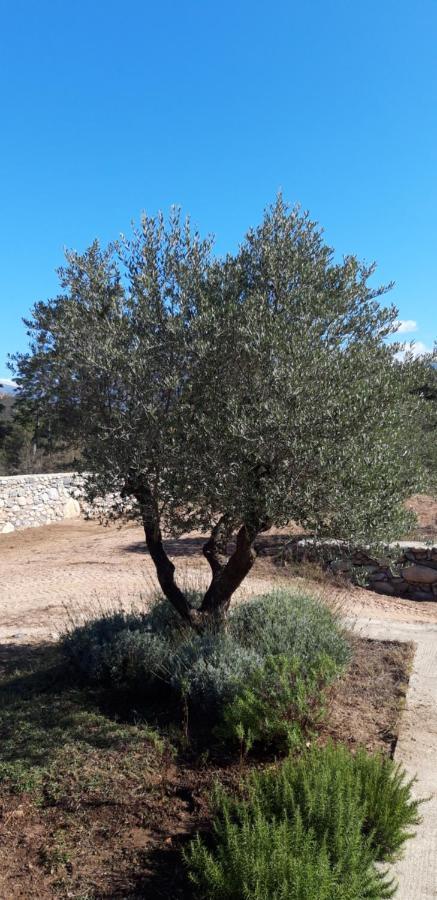 מלון Moltifao Domaine Rondini מראה חיצוני תמונה
